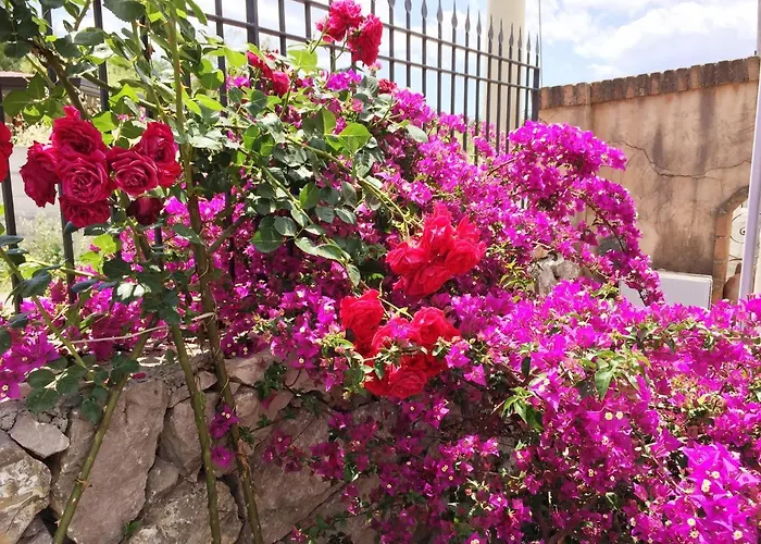 Bed and breakfast Terre Di Sicilia 3*