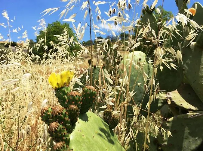 Bed and breakfast Terre Di Sicilia Giardini-Naxos