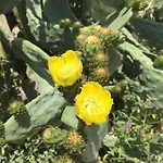 Terre Di Sicilia Bed & Breakfast