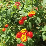 Bed & Breakfast Terre Di Sicilia 3*