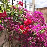 Bed & Breakfast Terre Di Sicilia 3*