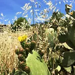 Bed & Breakfast Terre Di Sicilia Giardini Naxos