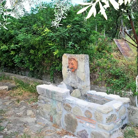 Terre Di Sicilia Bed & Breakfast