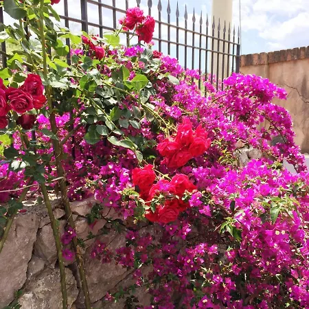 Panzió Terre Di Sicilia 3*