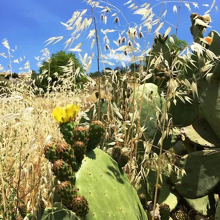 Panzió Terre Di Sicilia Giardini Naxos