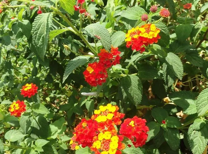 ベッド・アンド・ブレックファスト Terre Di Sicilia 3*